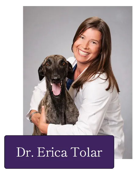 Dr. Erica Tolar