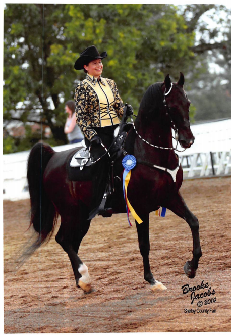 Profile for Erica Tolar