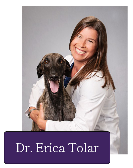 Dr. Erica Tolar